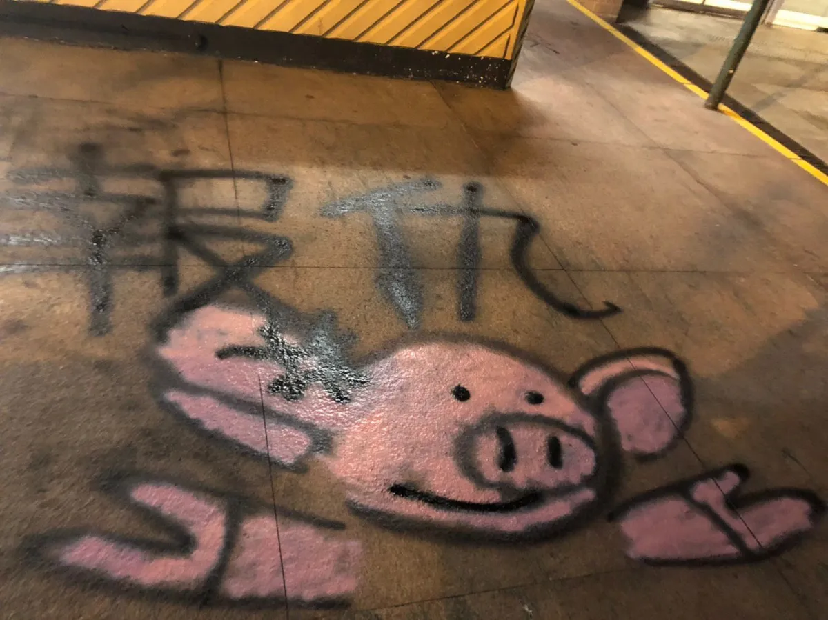 2019