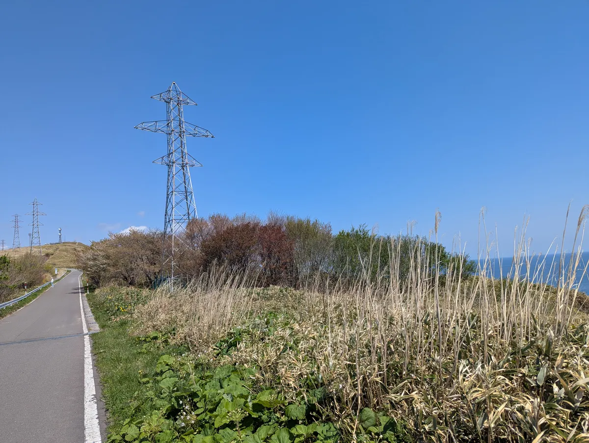 PXL_20260505_021926866