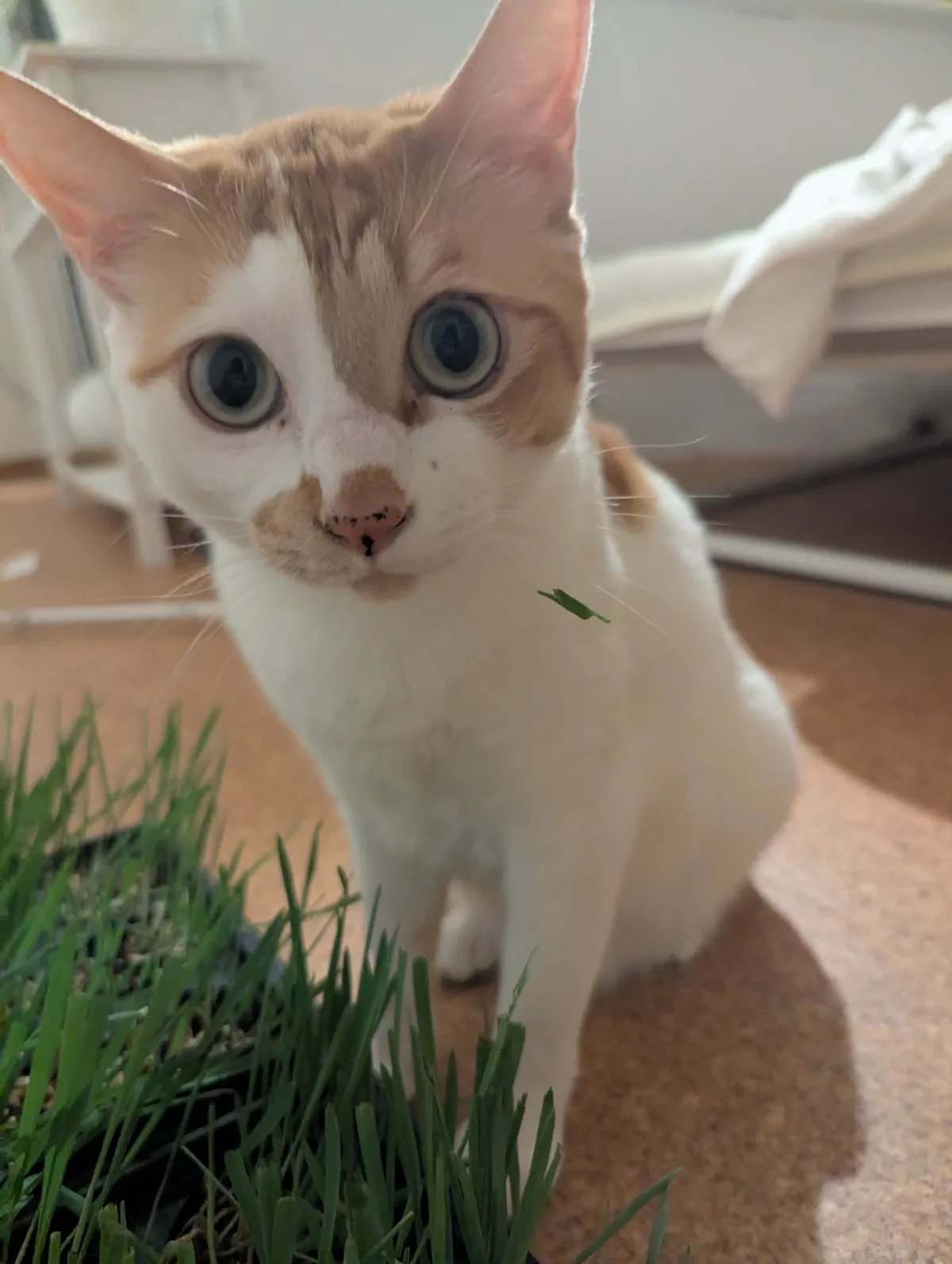 PXL_20260323_115817192