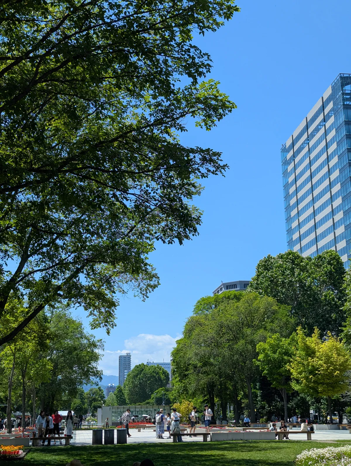 PXL_20260704_030207126