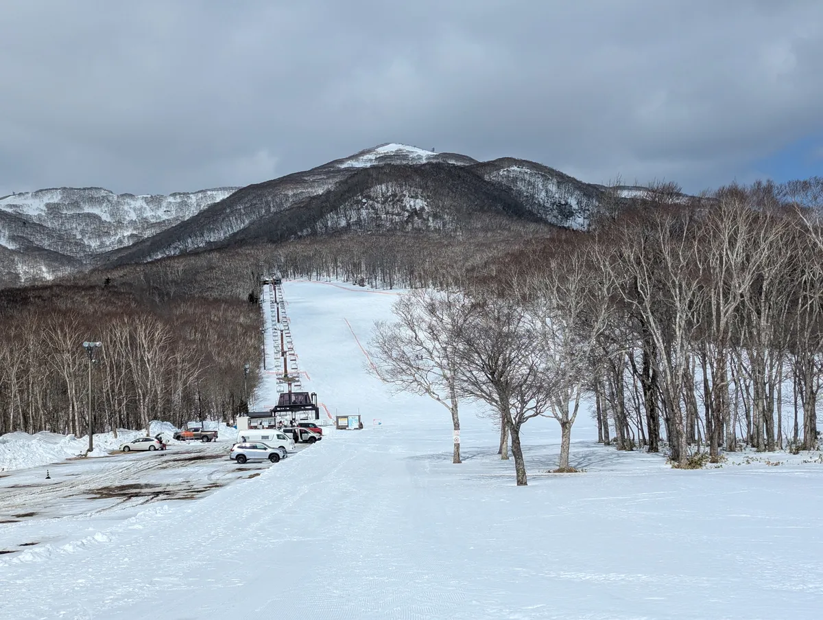 PXL_20260315_031724486