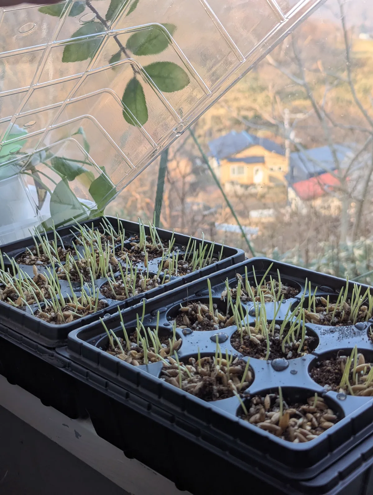 PXL_20260316_231333256