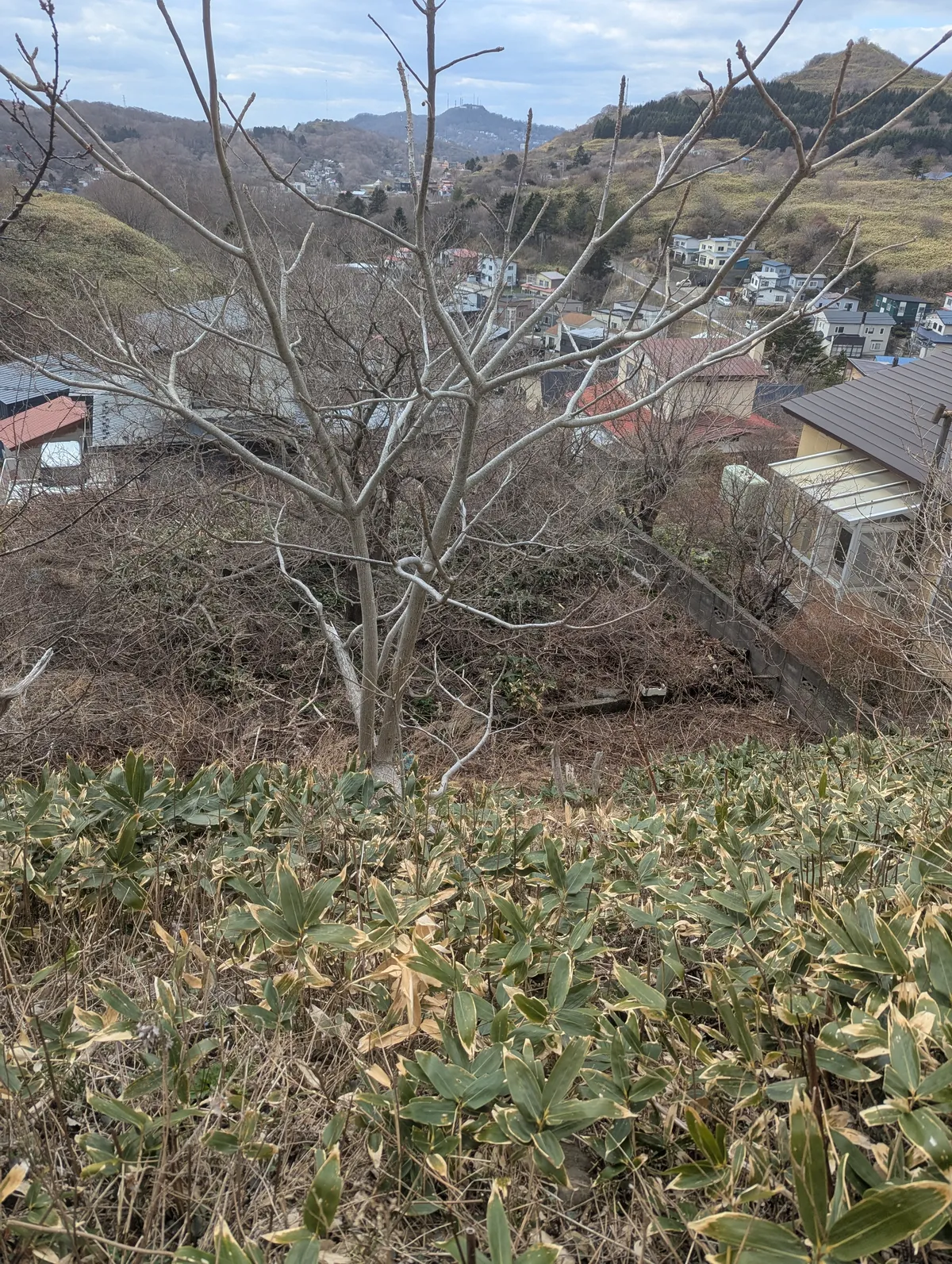 PXL_20260412_050451022