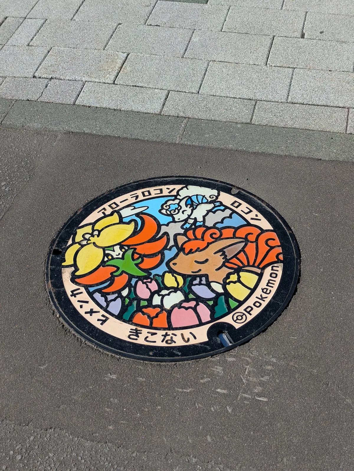 PXL_20260428_231610404