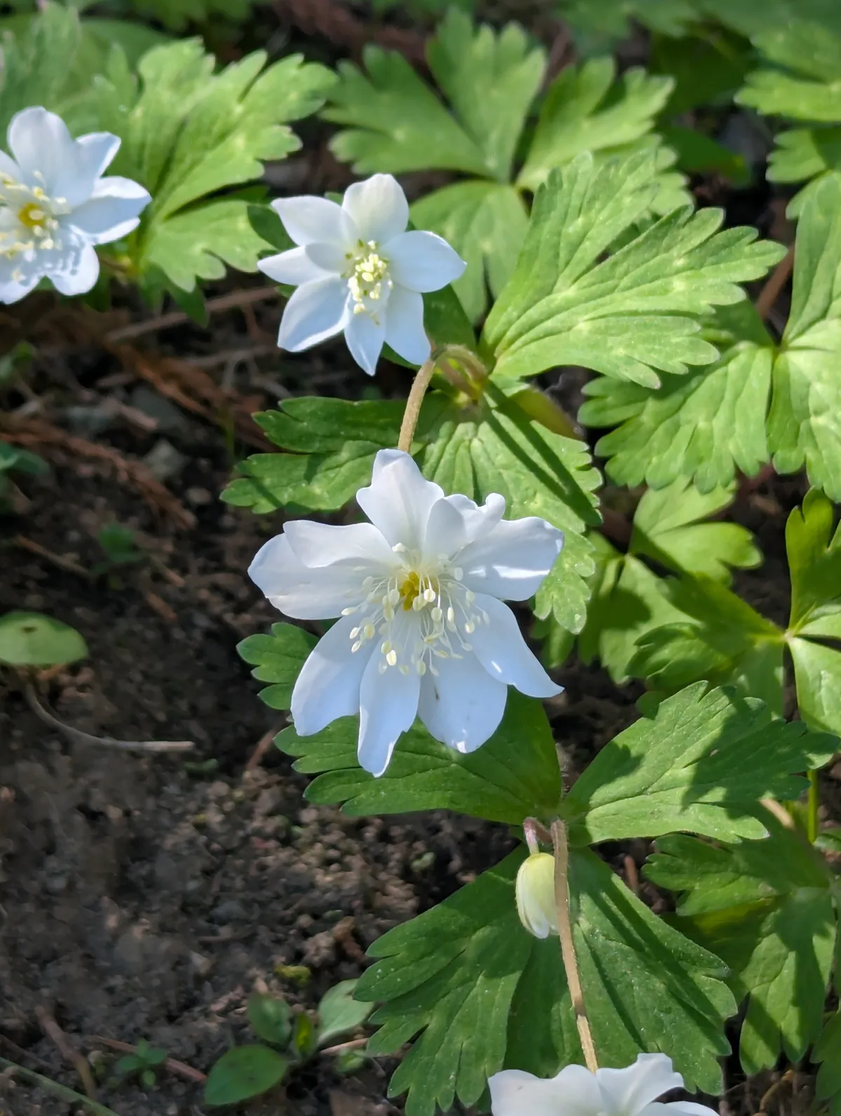 PXL_20260429_005630753