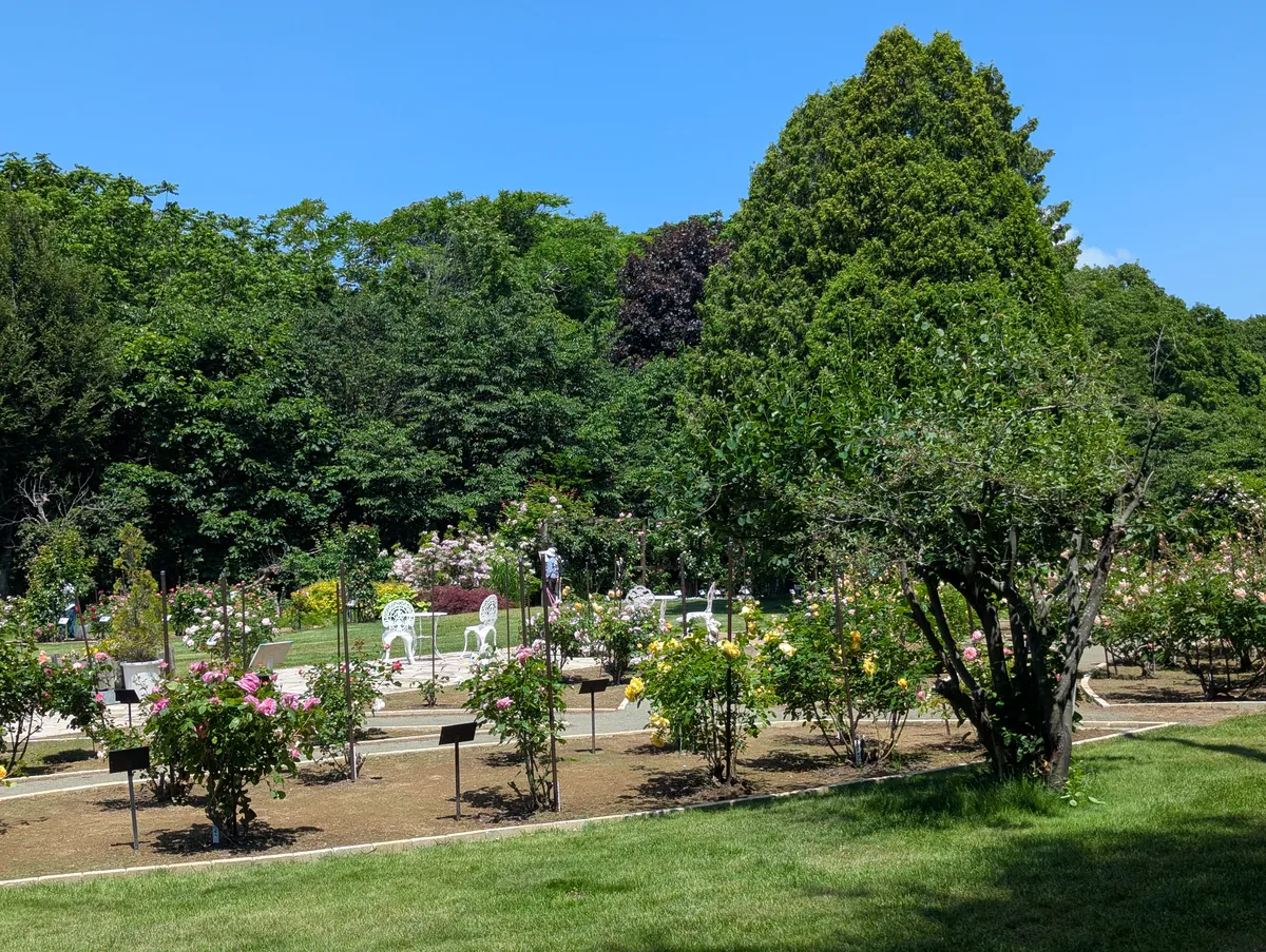 PXL_20260620_020005074