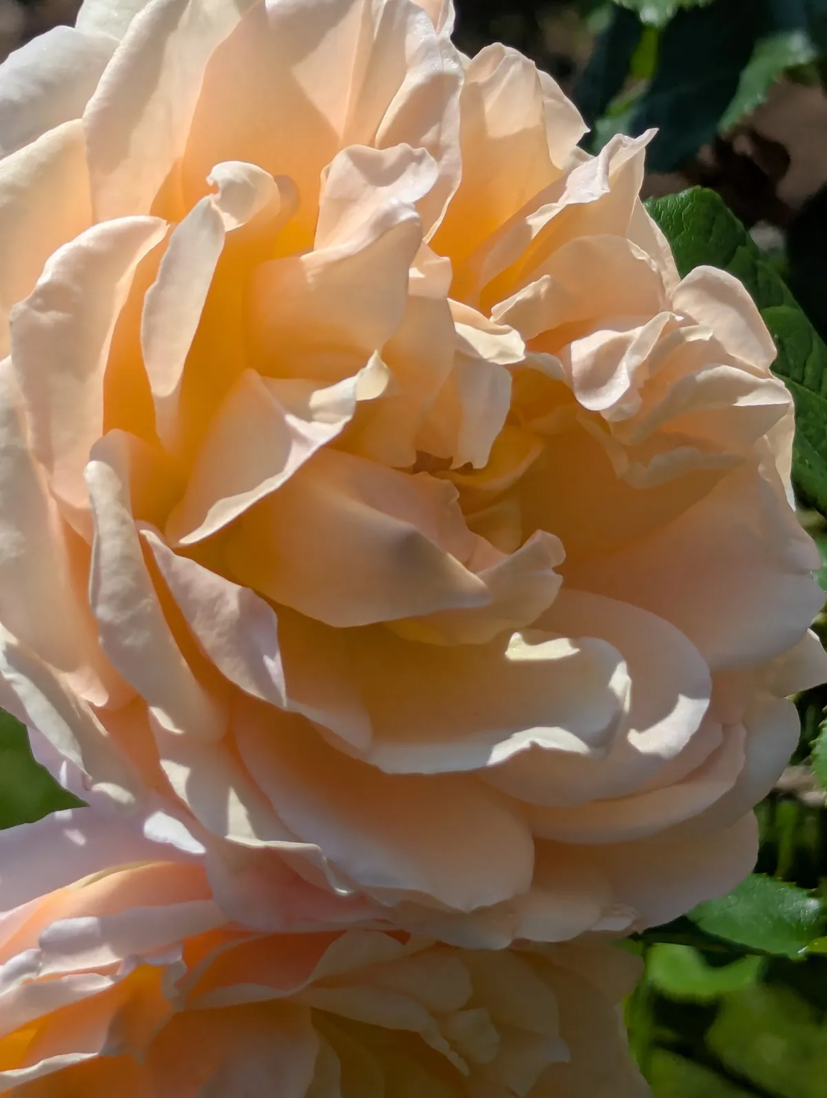 PXL_20260620_021601370