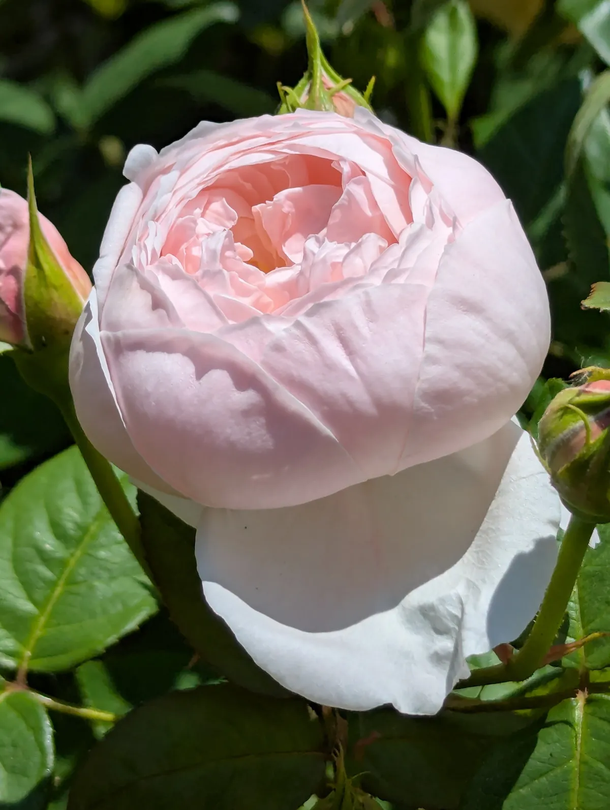 PXL_20260620_031508944