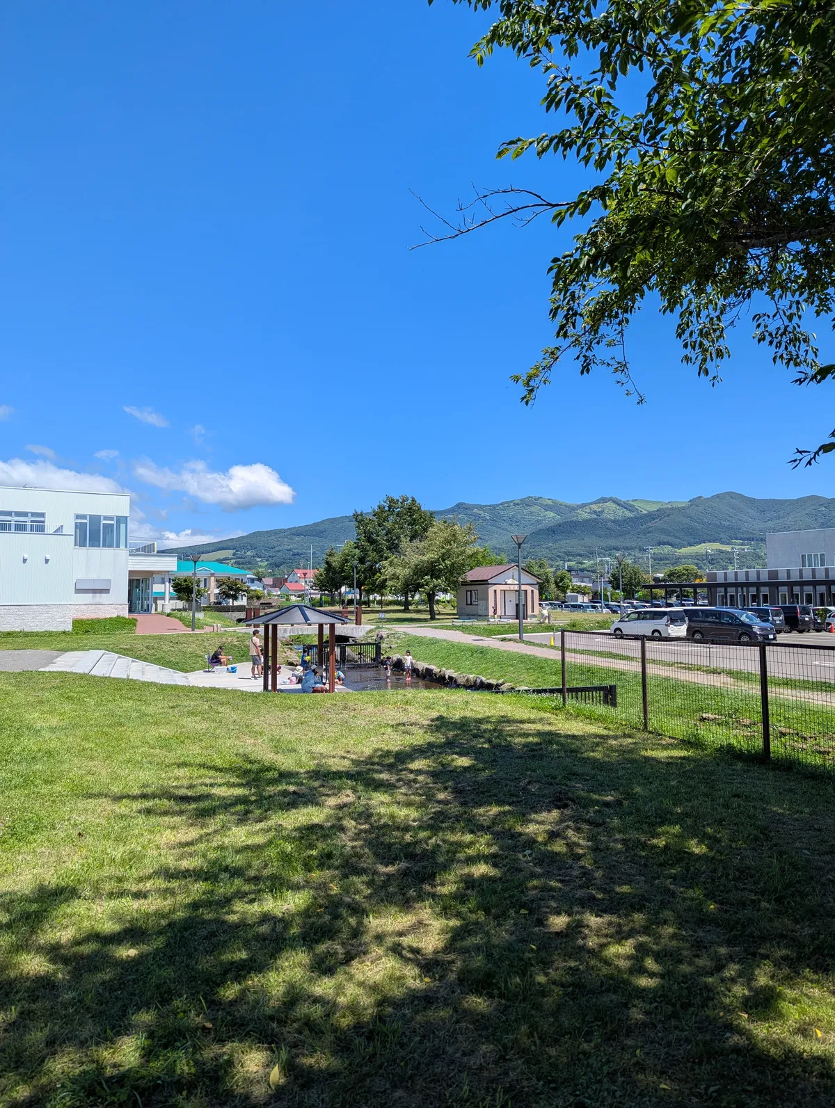 PXL_20260802_030335356