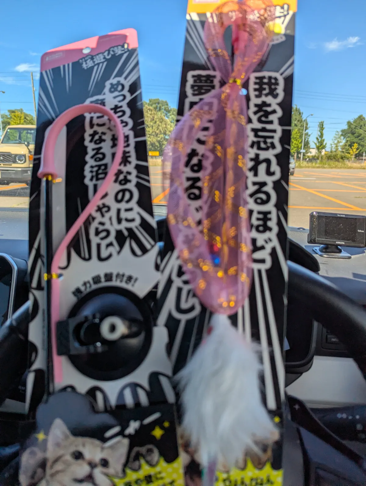 PXL_20260816_034932476