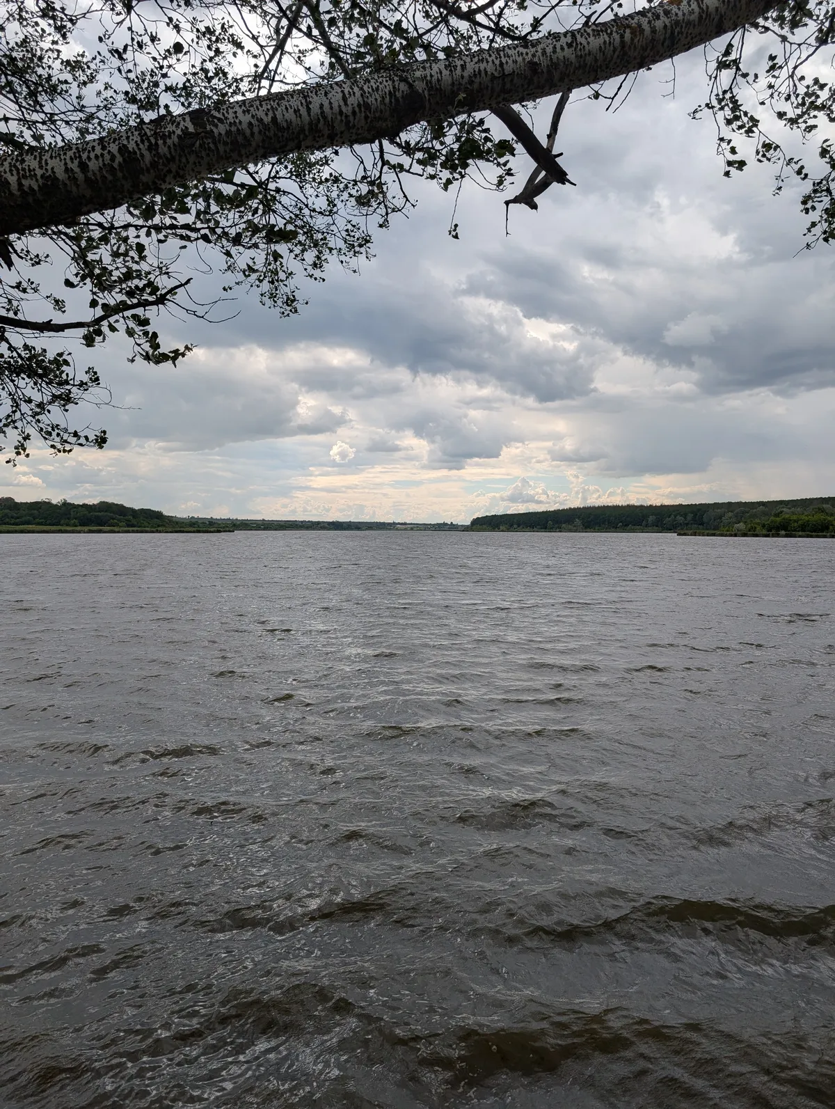 PXL_20260705_124541044
