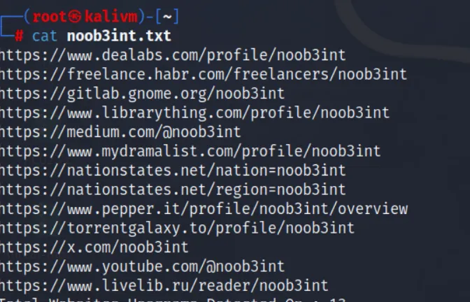 noob3int