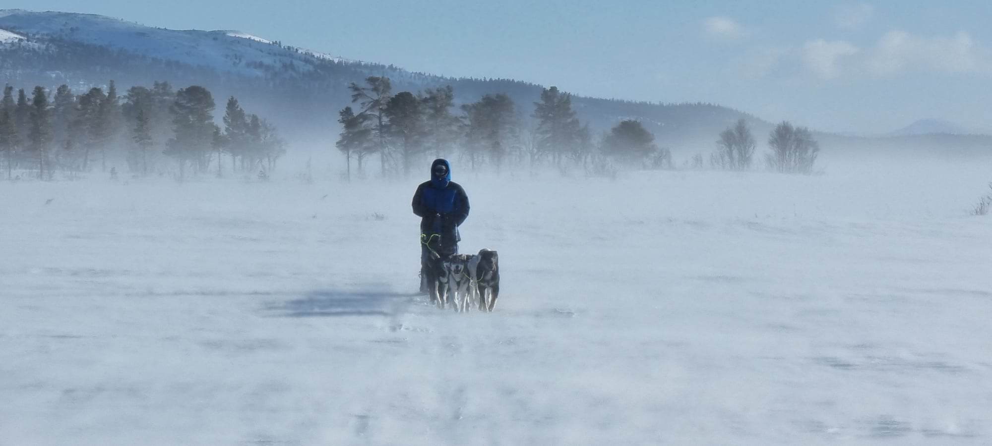 A mushing story by Norse Quest