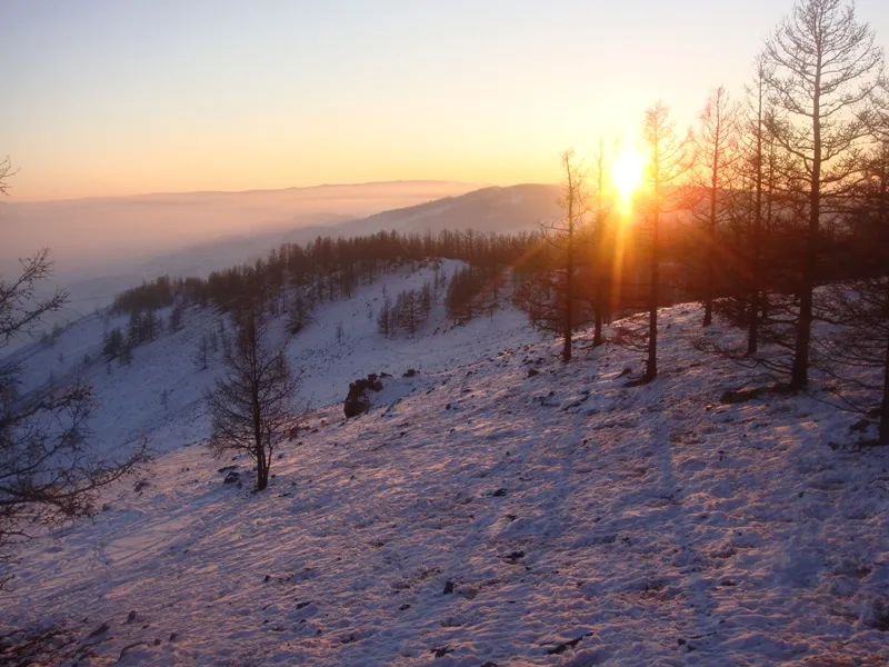 sunset over snowy hills and bare trees near ulaanbaatar, mongolia