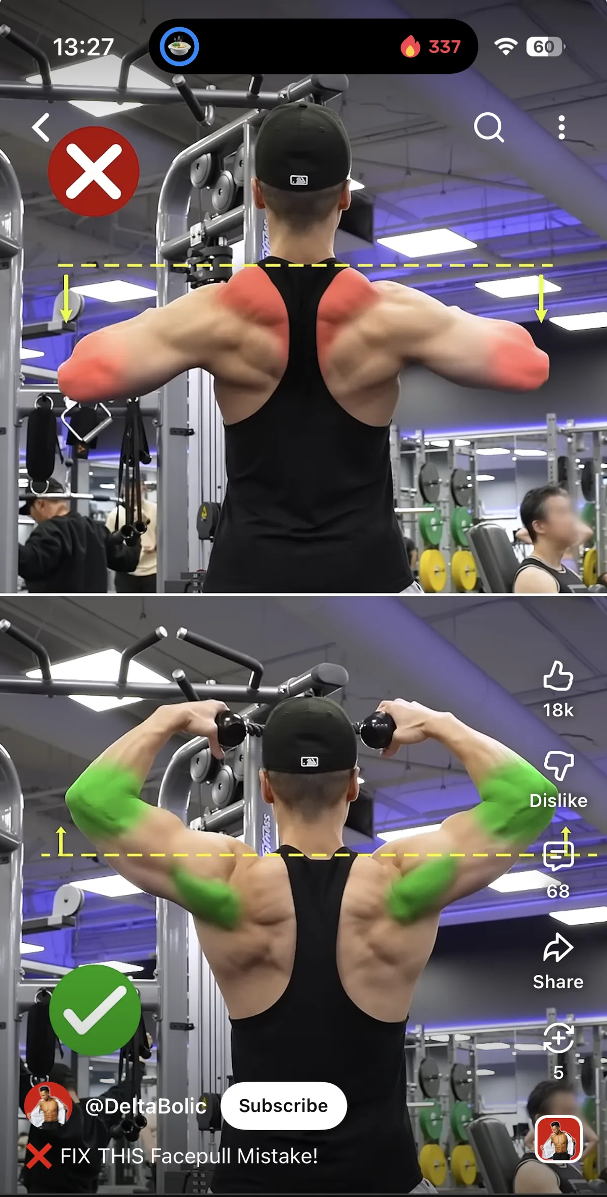 youtube face pull shot