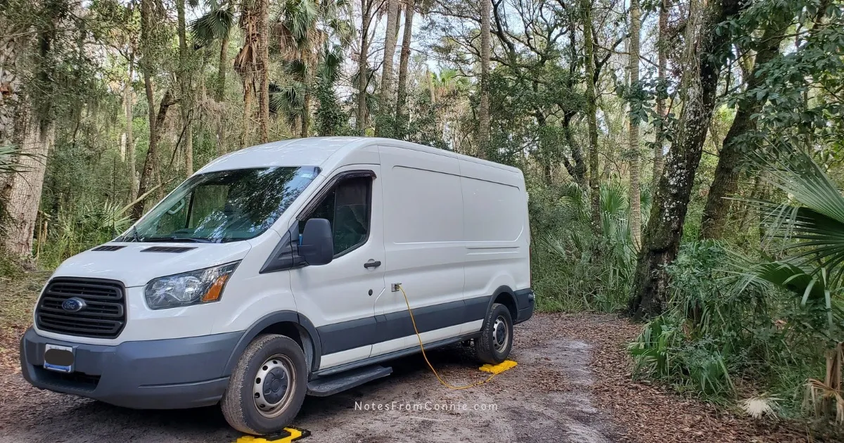 In the jungles of Jacksonville FL