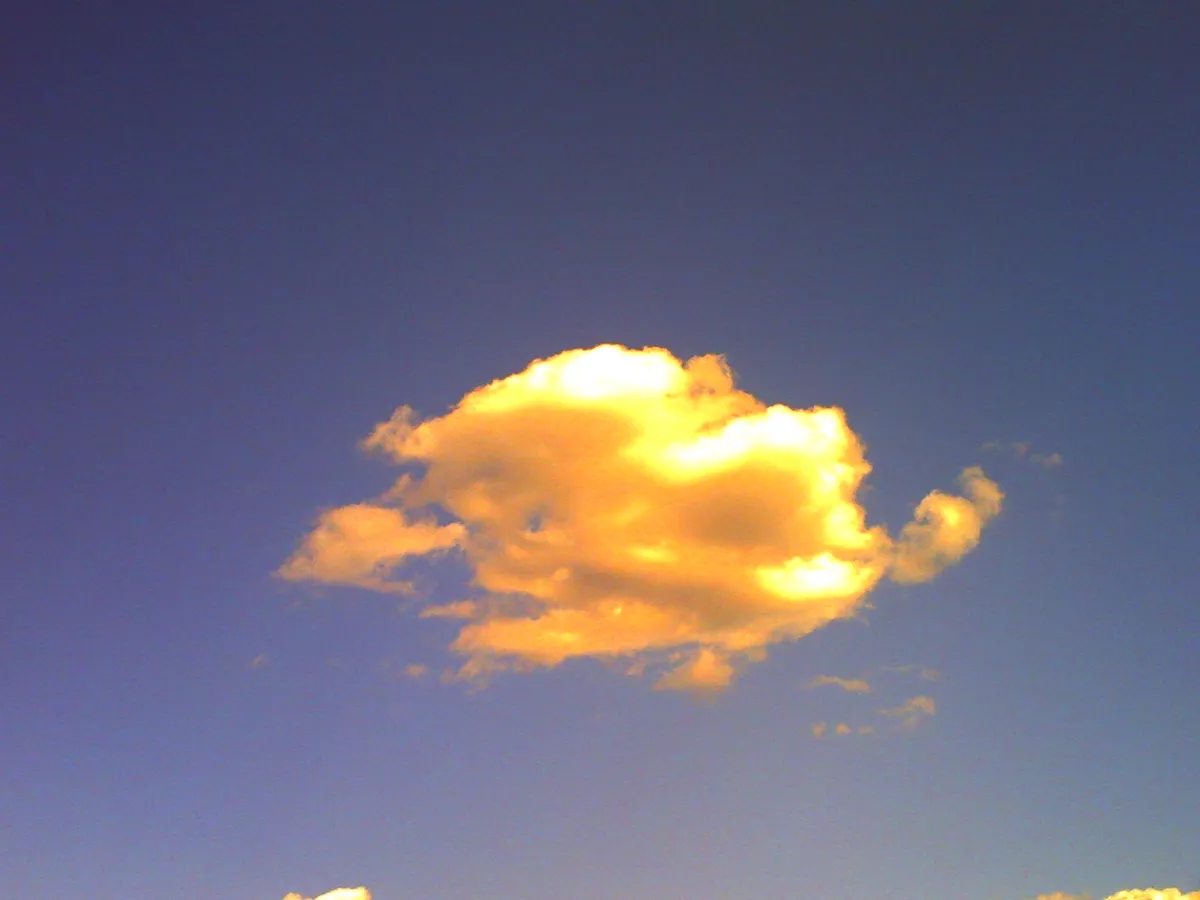 PICT0091