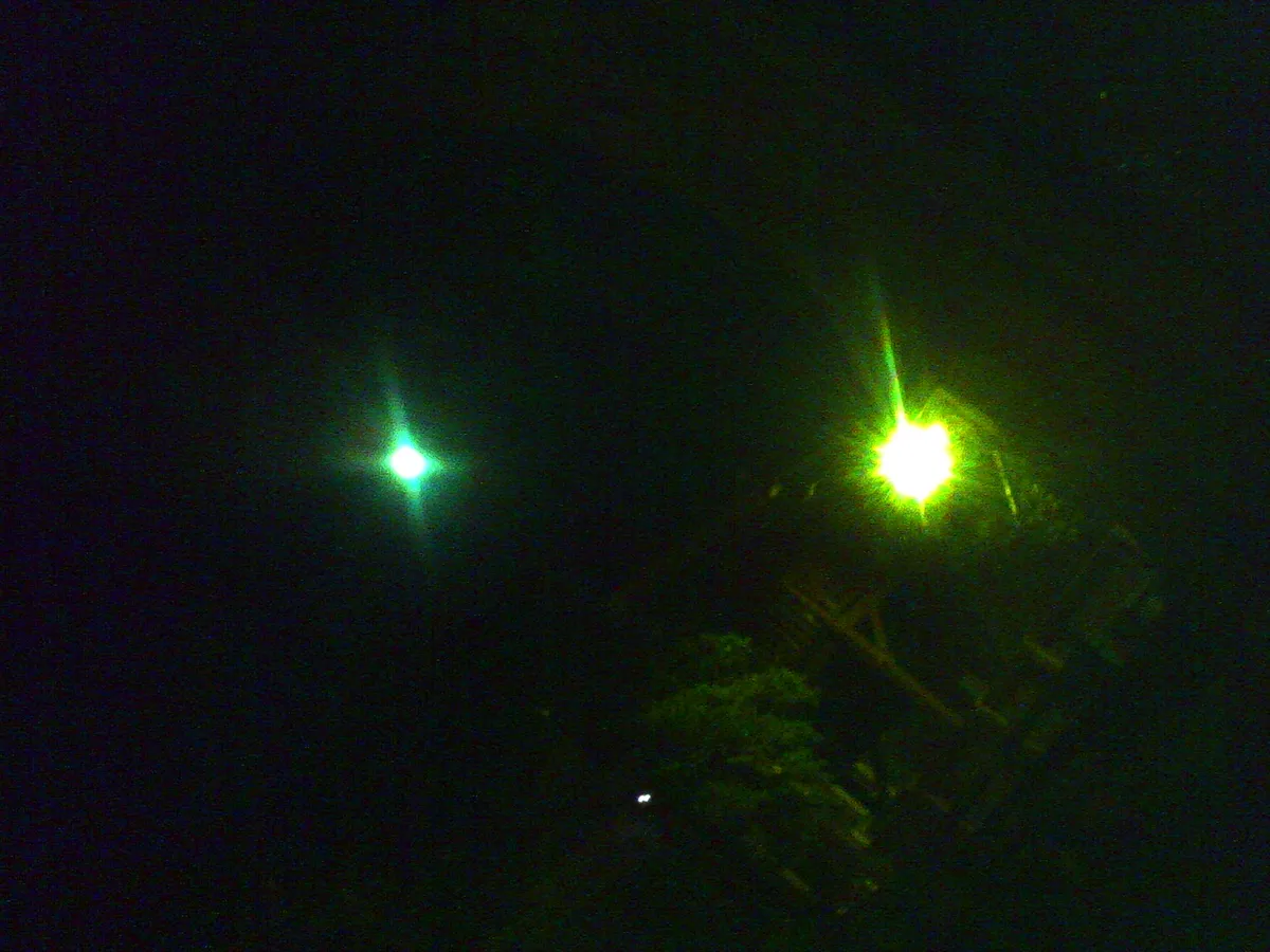 PICT0699