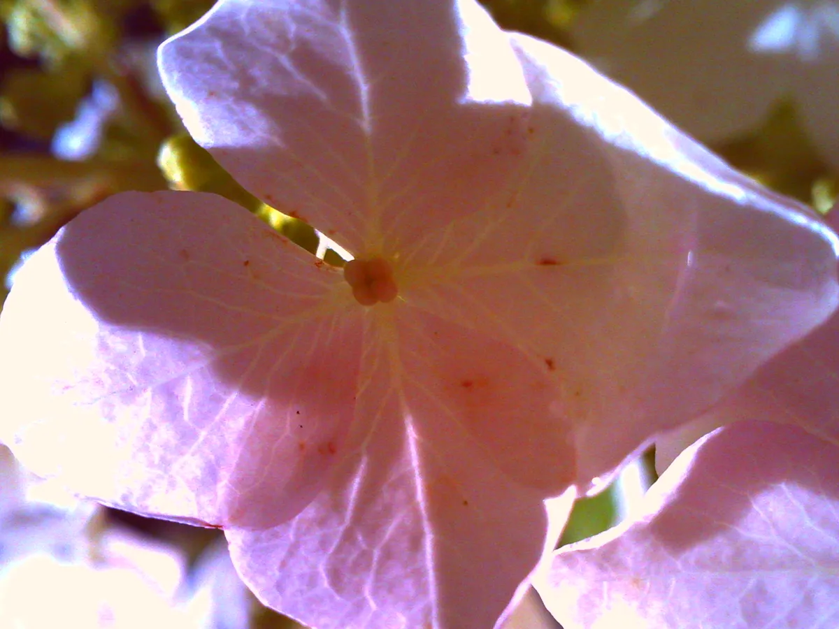 PICT0763