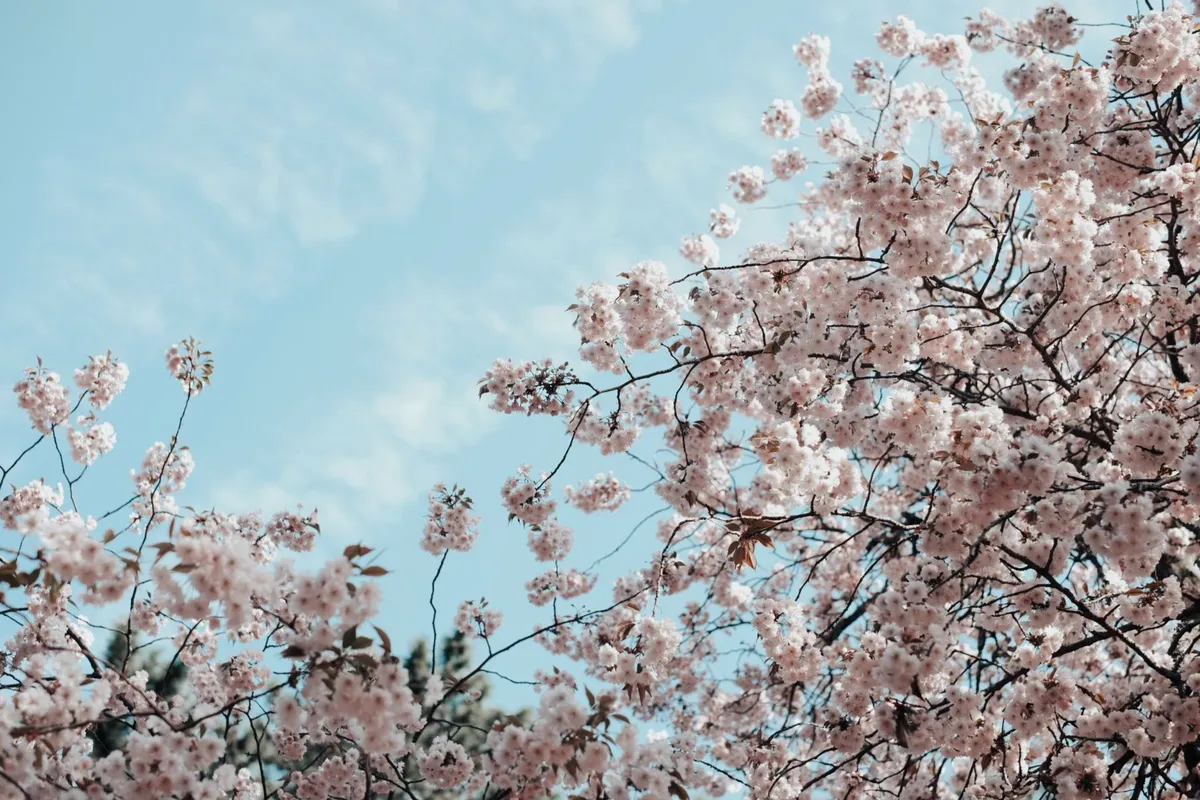 20190411_150854