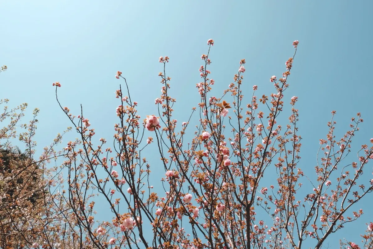 20190419_154321