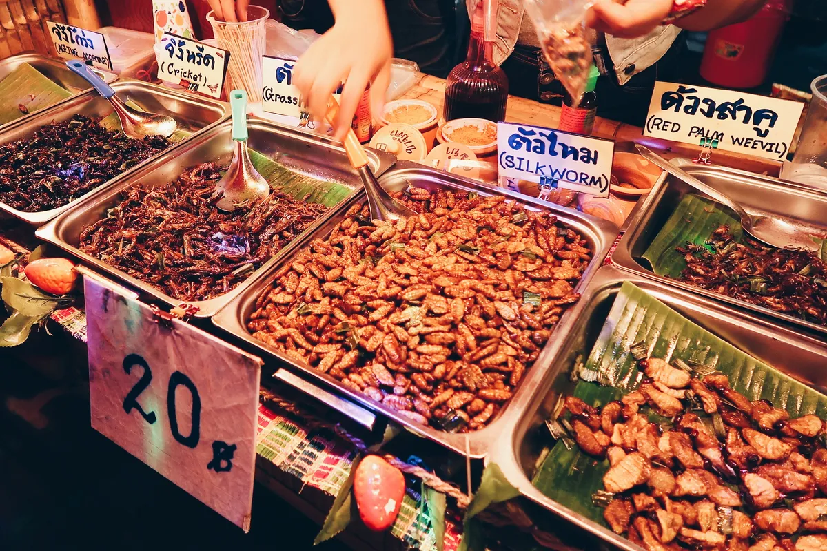 Creepy crawlies, Krabi, 2017