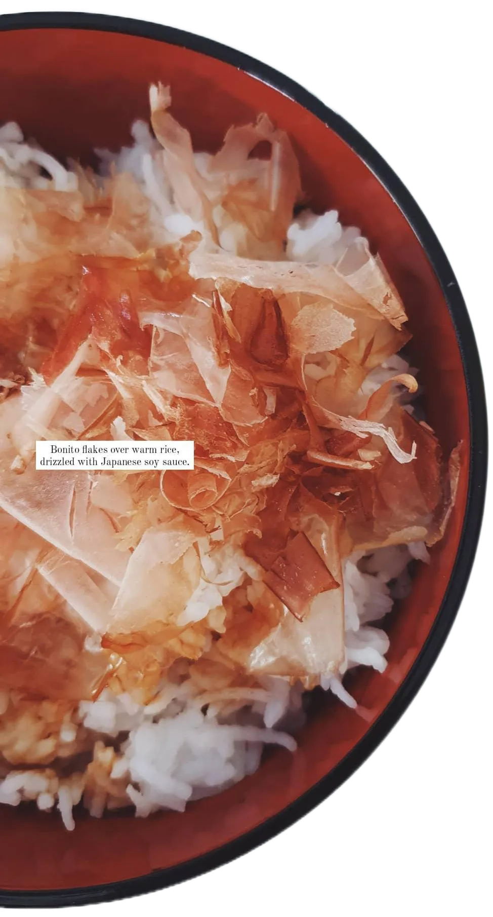 Bonito flakes over warm rice, drizzled with Japanese soy sauce, 2020.
