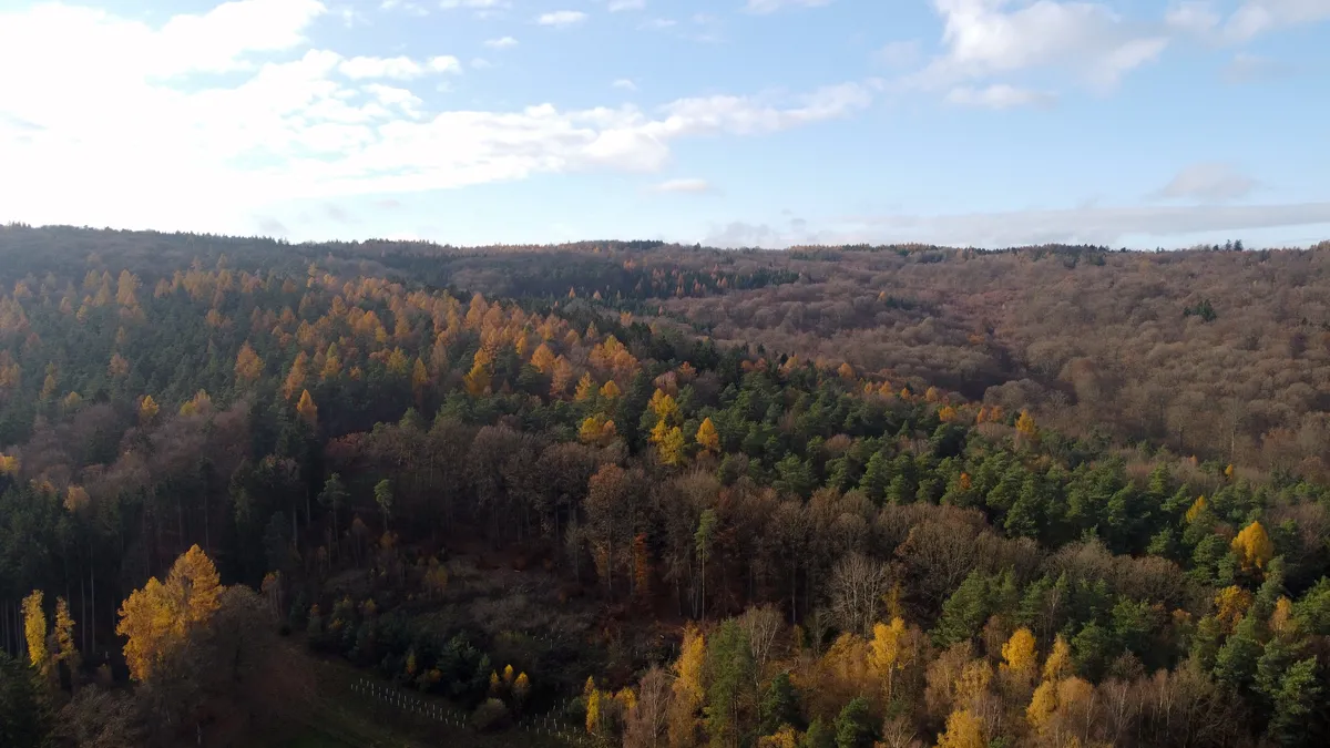 dji_fly_20251116_140158_245_1763298531548_photo_optimized