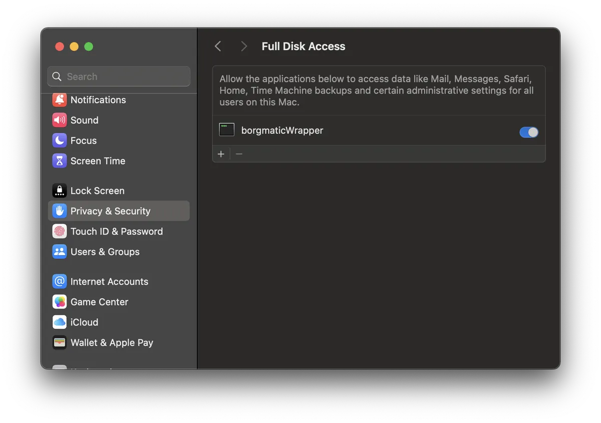 borgmaticWrapper with Full Disk Access