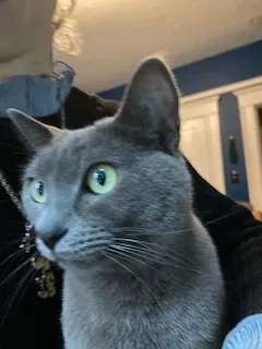 frankie