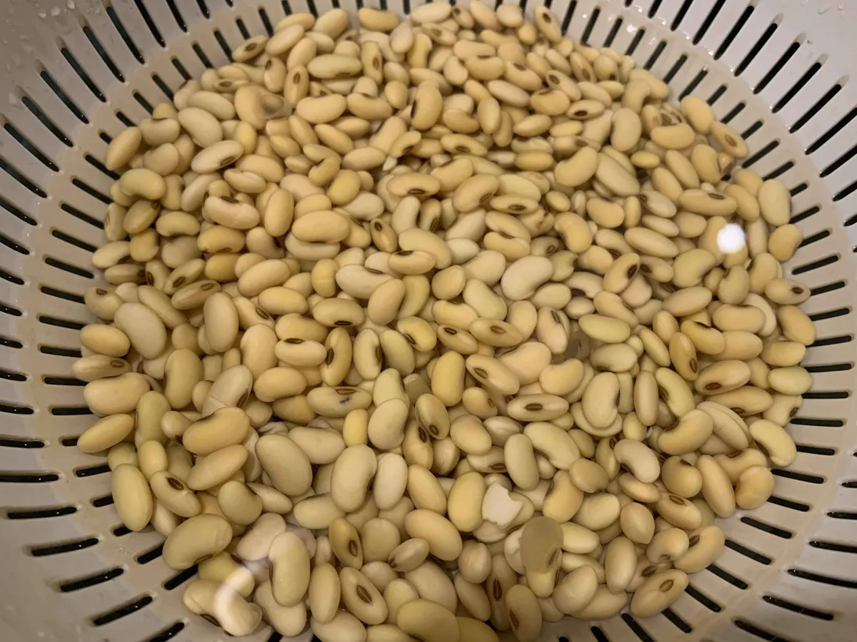 4amtofu1