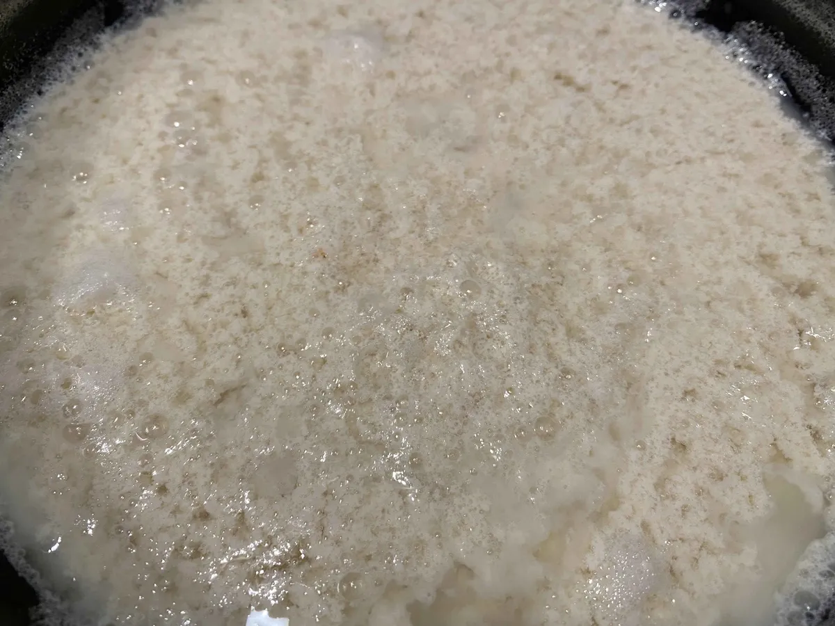 4amtofu2