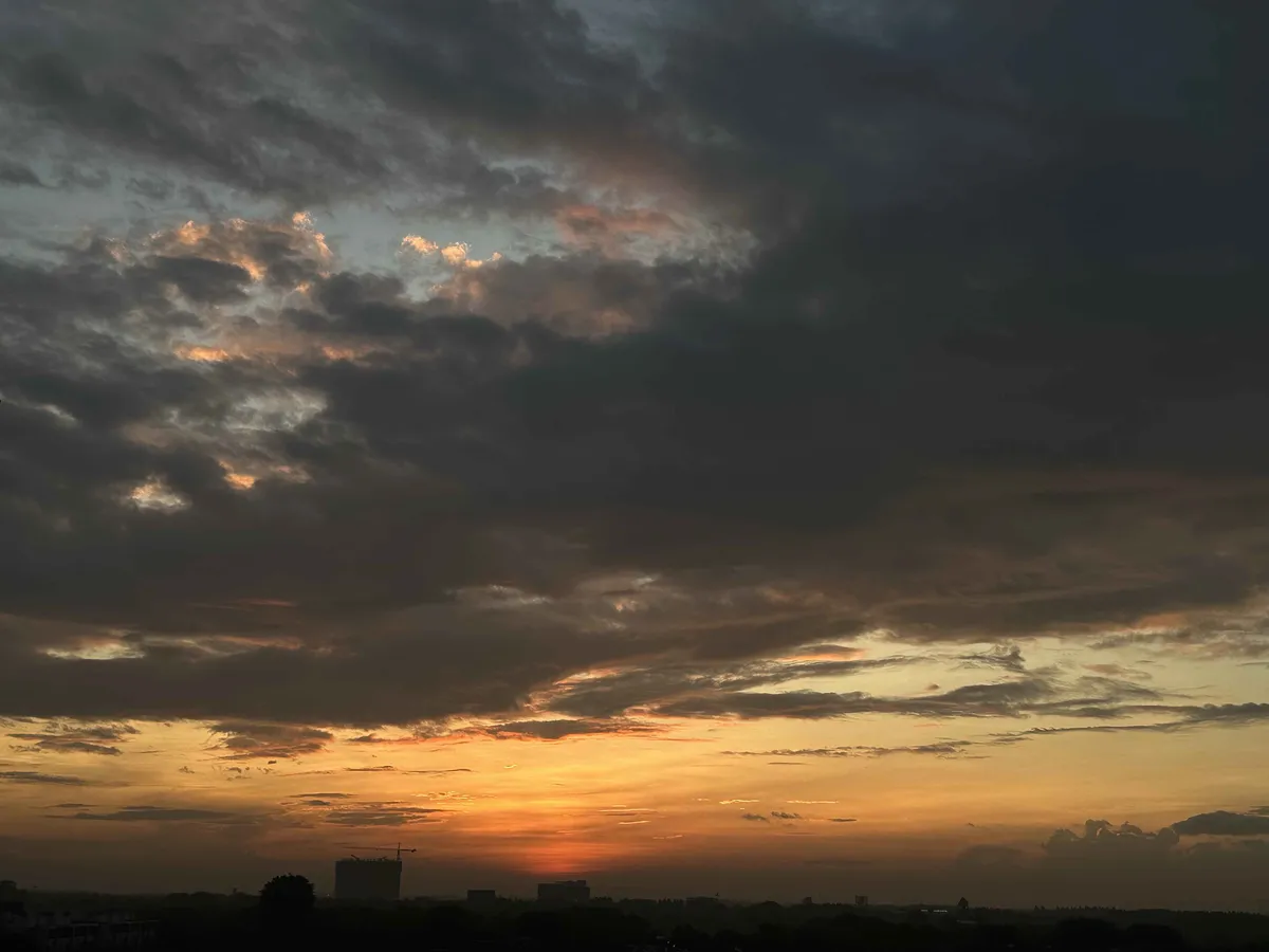 4amtofu5