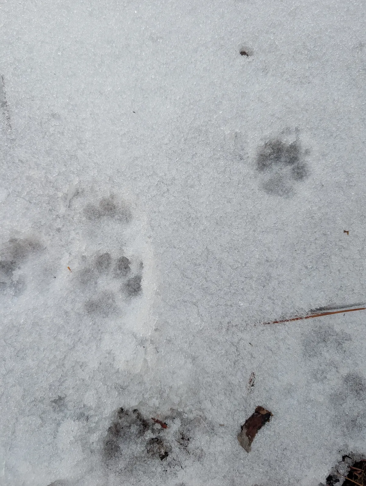 PXL_20260126_193209914