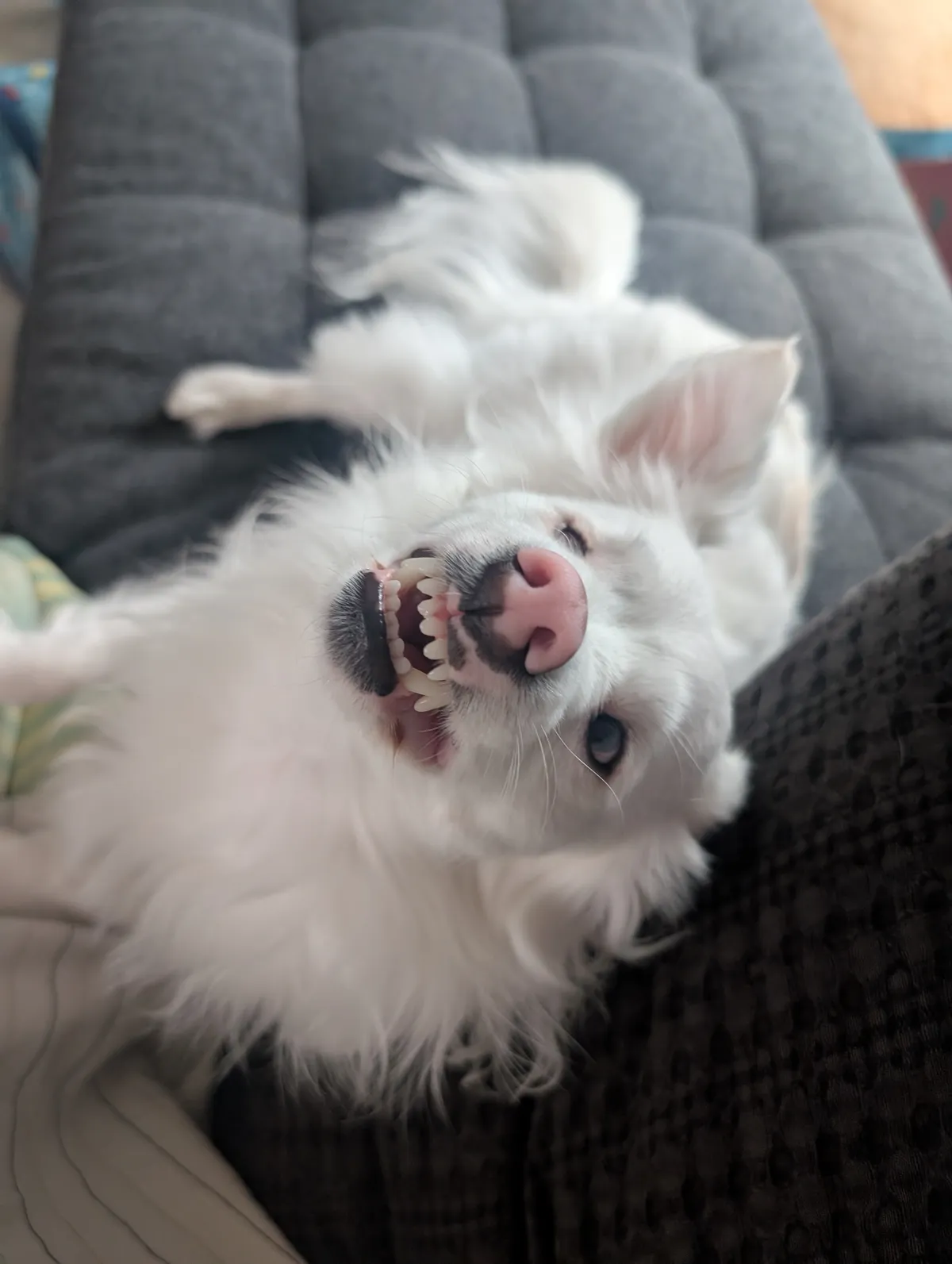 PXL_20260110_181440818