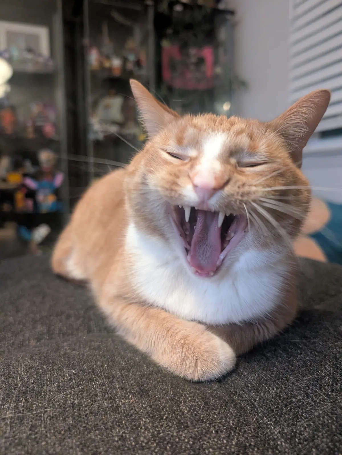 PXL_20260106_231159894