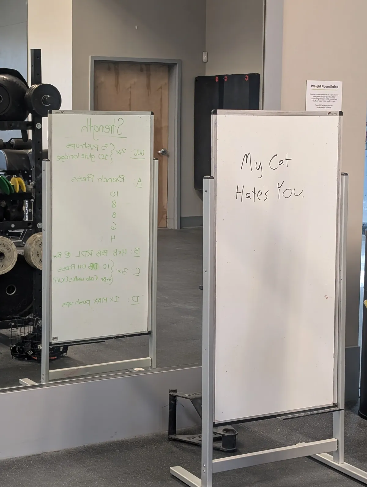 PXL_20260208_142035192