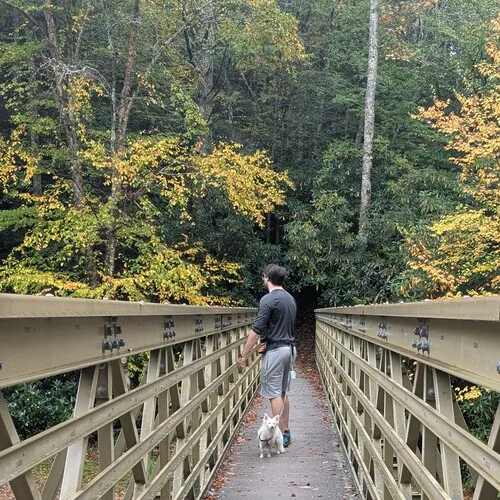 Bridge on Boone Fork Trail
