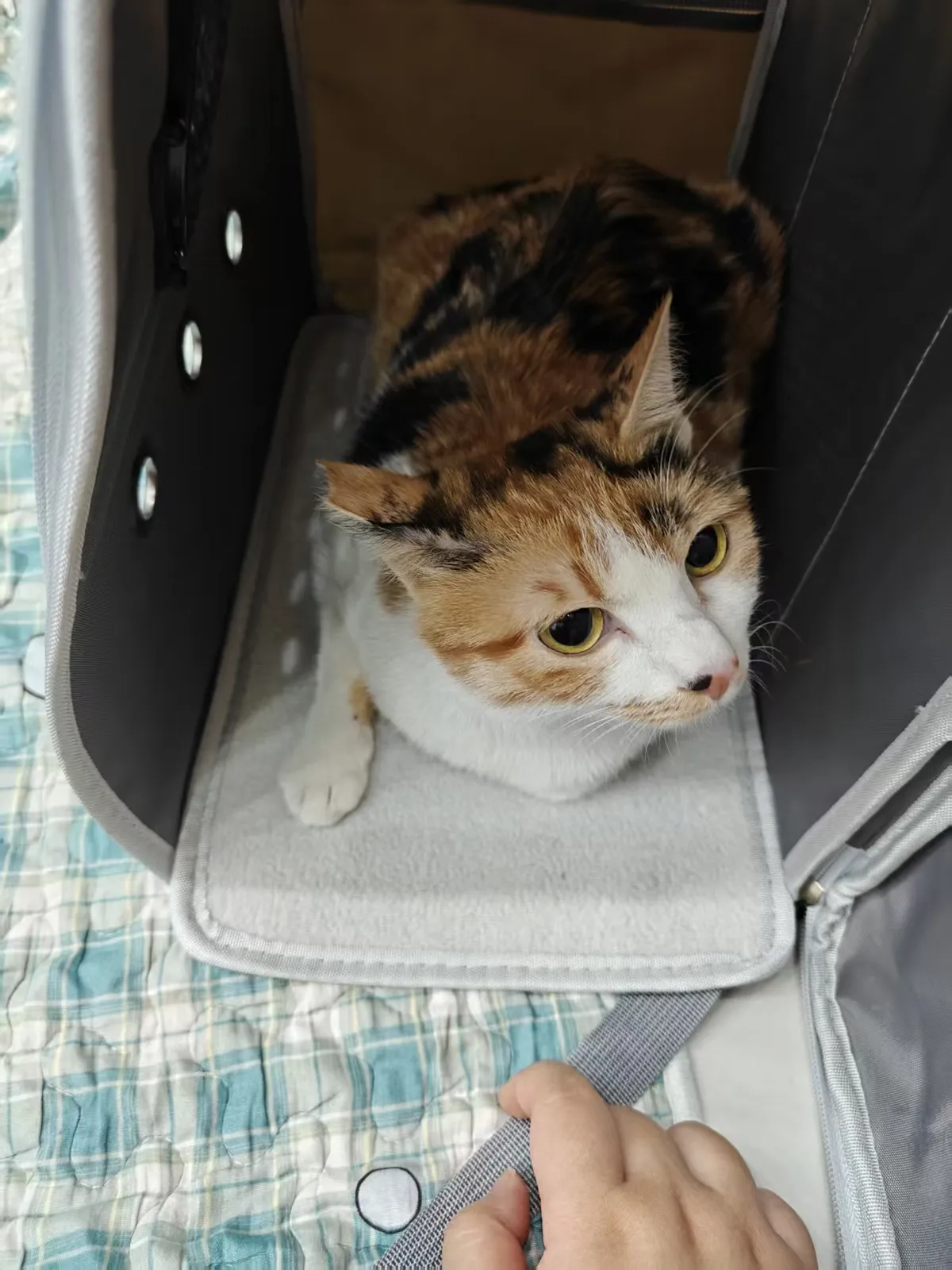 微信图片_20251123202618_113_542