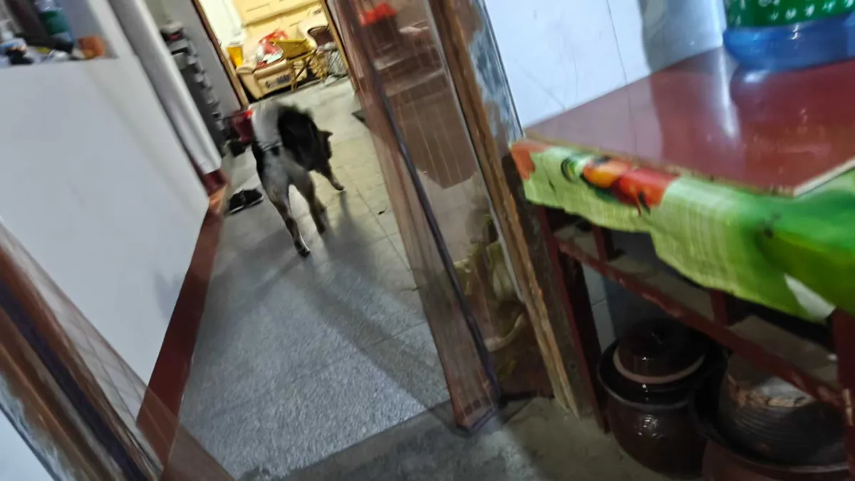 微信图片_2026-02-12_162545_004