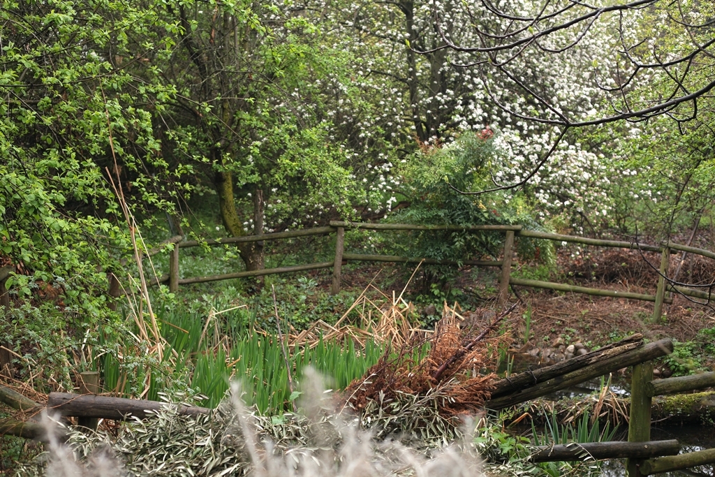 Onorio Belussi food forest