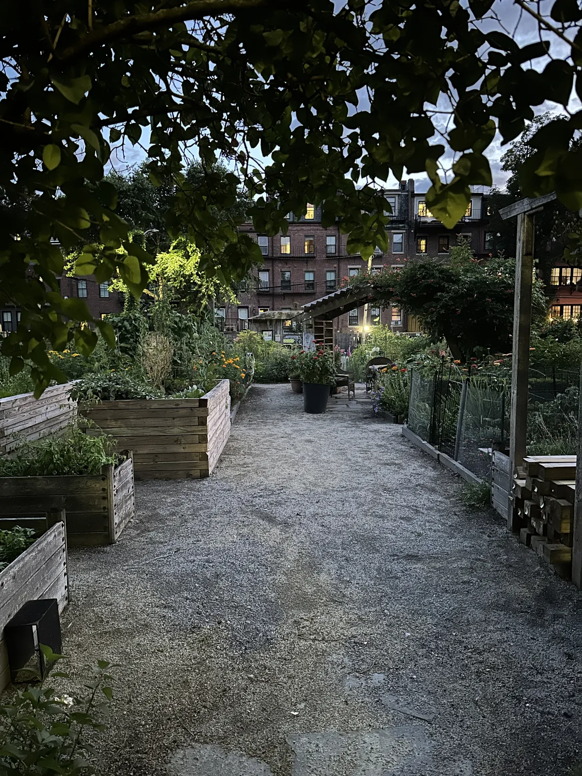 garden