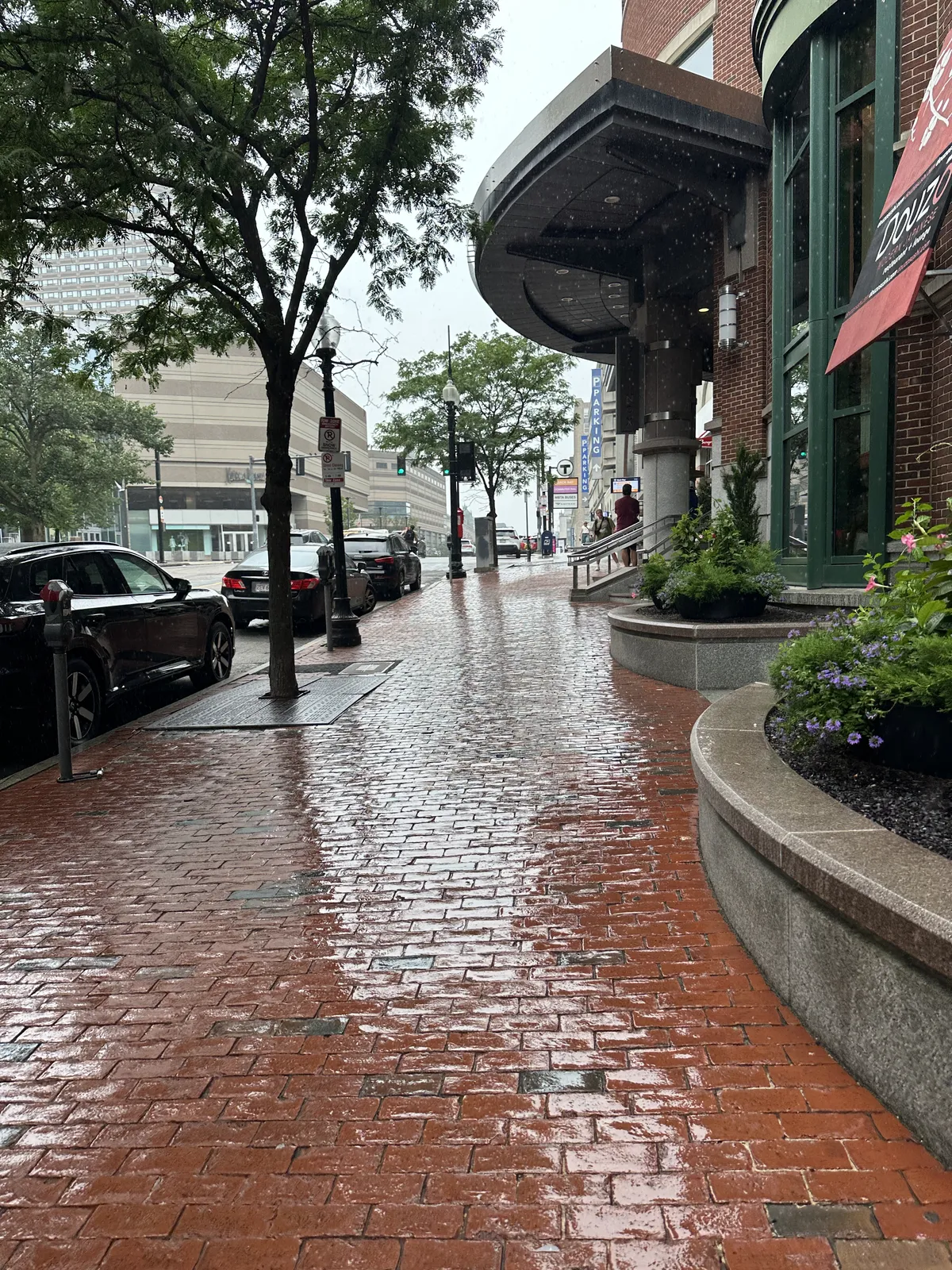 rain