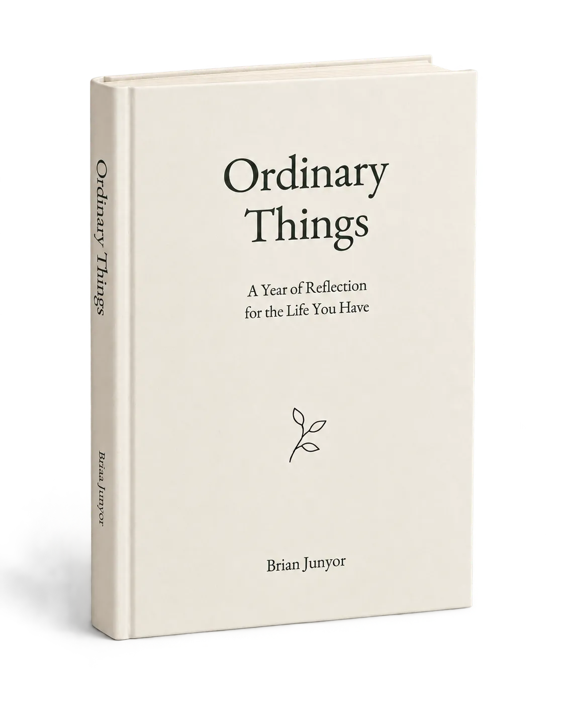 Hardcover rendering of Ordinary Things by Brian Junyor