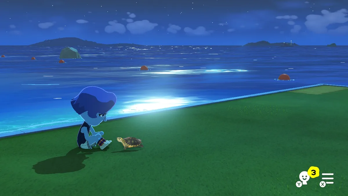 Lapis spending time with her pet turtle.