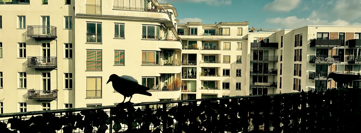 A silhouetted bird perches on a balcony railing, with a backdrop of multi-story residential buildings featuring numerous windows and balconies under a partly cloudy sky.