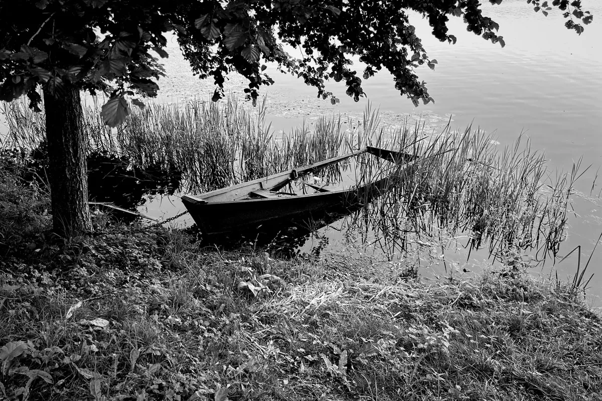 A small rowboat is resting partially submerged in shallow water, surrounded by tall reeds and overhung by leafy tree branches, beside a grassy shoreline.