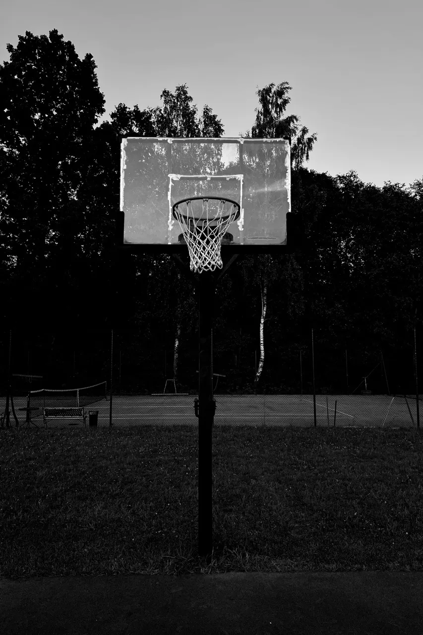 A basketball hoop stands still, positioned in a grassy area, surrounded by trees and partially visible fencing in the background, under a clear dusk sky.