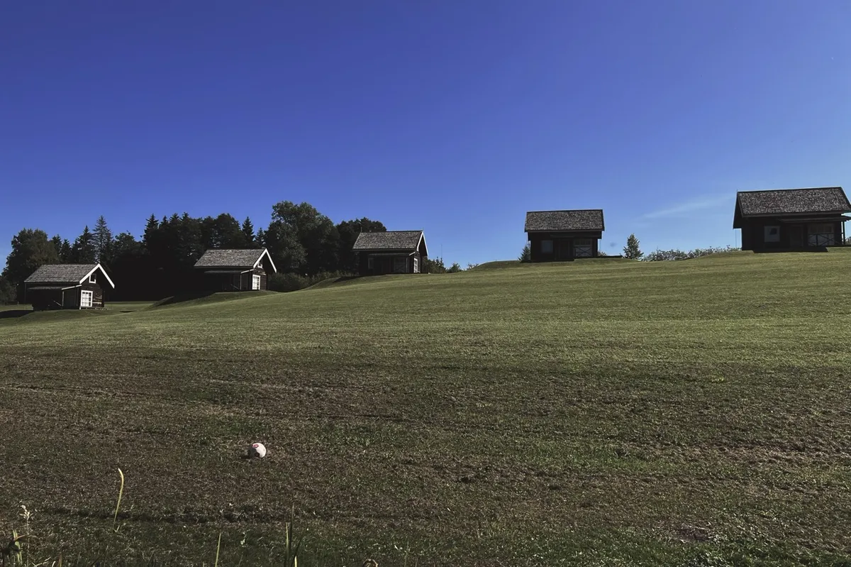 Cabins stand stationary in a row on a grassy hill, under a clear blue sky, surrounded by lush trees.