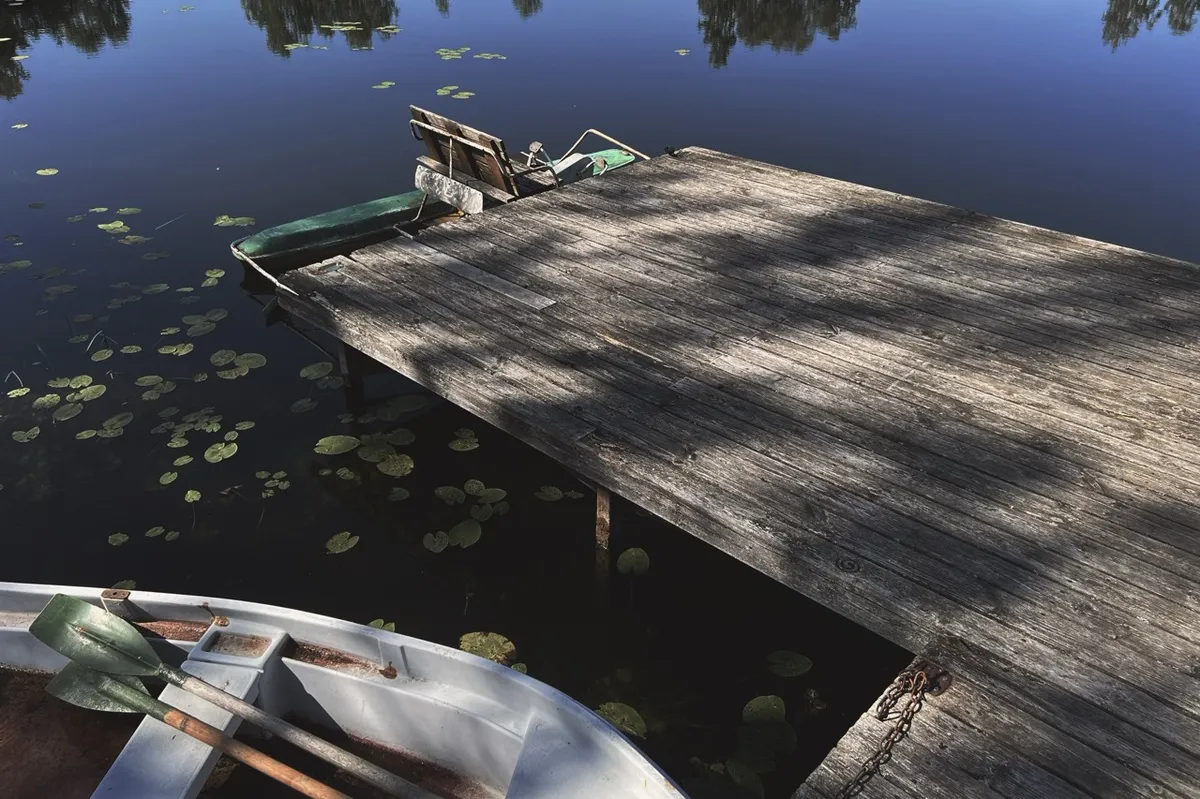 Weathered wooden dock extends over a calm lake with lily pads. An empty rowboat, holding two oars, is moored nearby. Trees are reflected on the water’s surface.